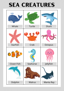 Sea animals for kids to learn - KuriousMom