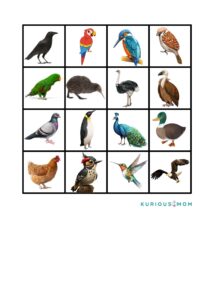 direction worksheets for kids, left right worksheets, printable worksheets for preschool, coding worksheets for kids, grid activities for kids, kindergarten direction activities, free printable kids worksheets