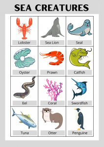 Sea Animals For Kids To Learn - Kuriousmom