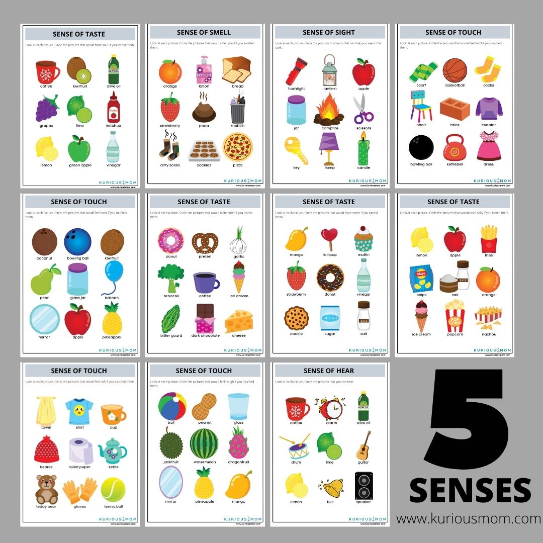 5-senses-hear-sight-touch-taste-smell-worksheets-kuriousmom