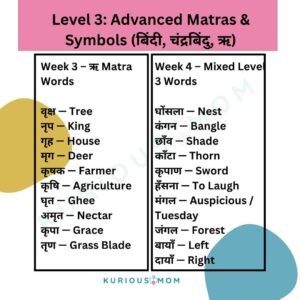 Hindi dictation words, Hindi dictation PDF,